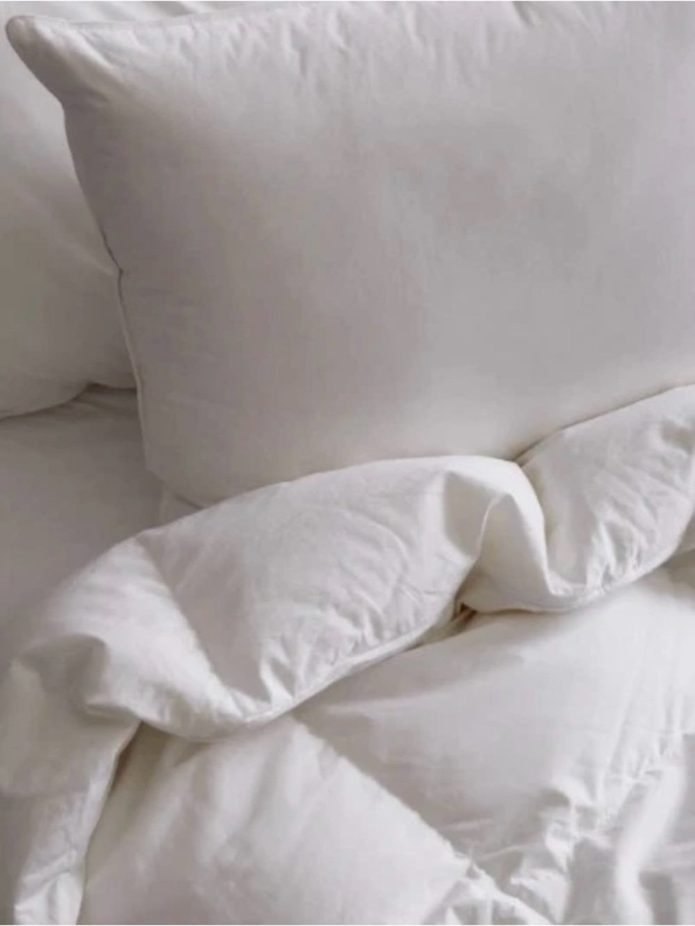 Quince Ultra-Warm Comforter in White NWT King